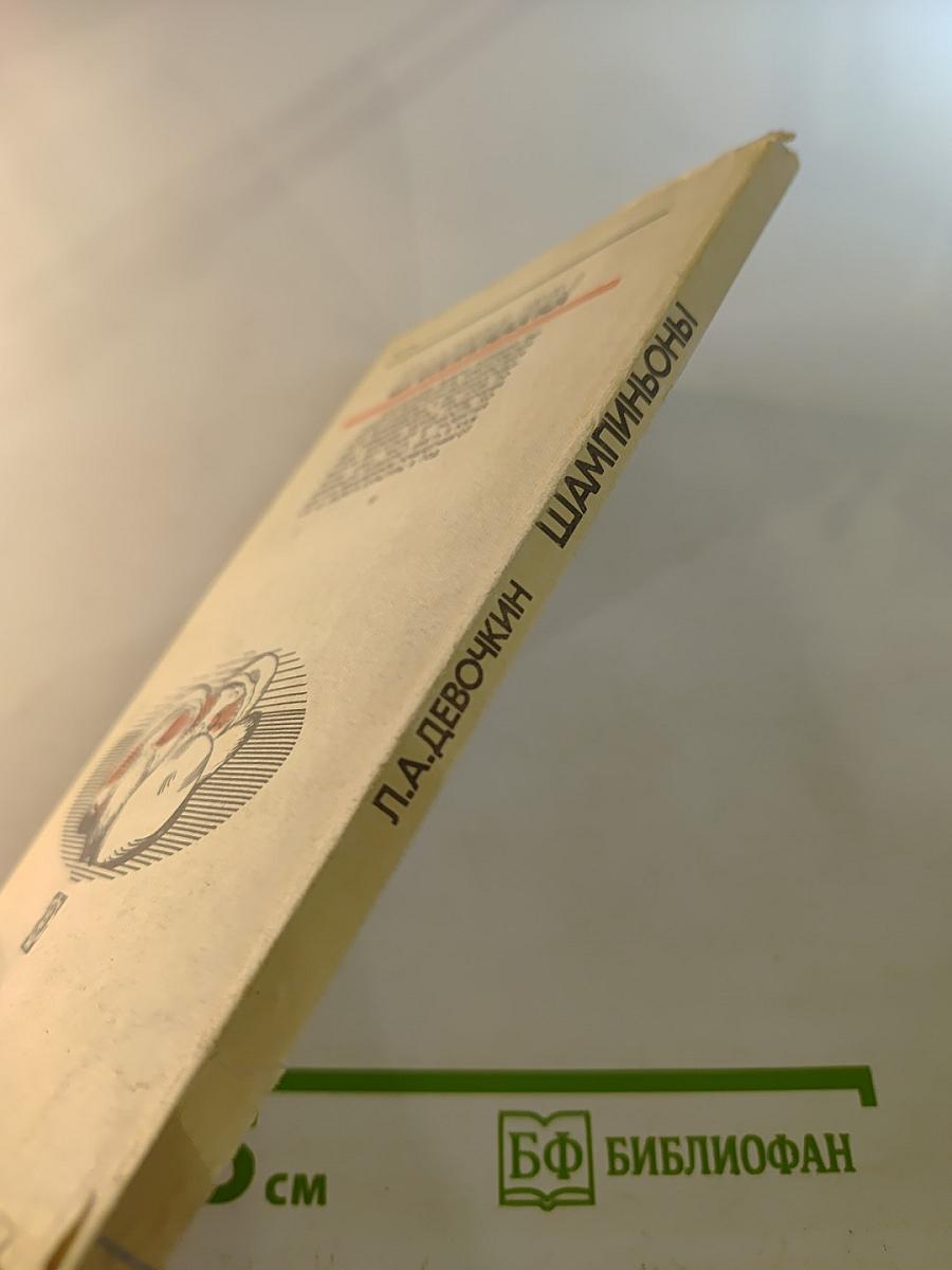 Шампиньоны