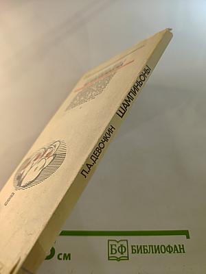 Шампиньоны