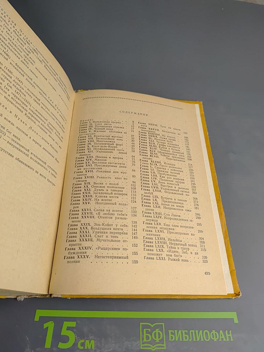 Всадник без головы