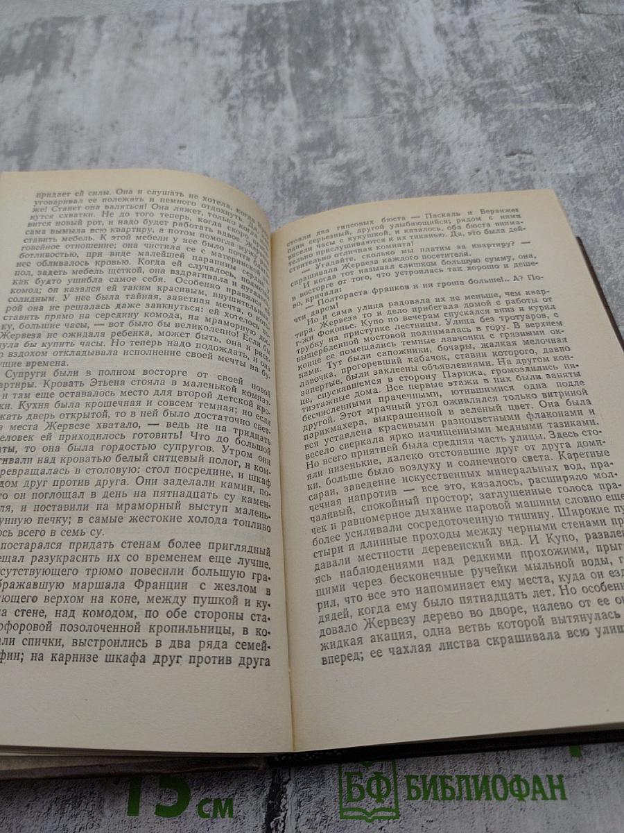 Собрание сочинений. Том шестой-седьмой: Западня, Страница любви