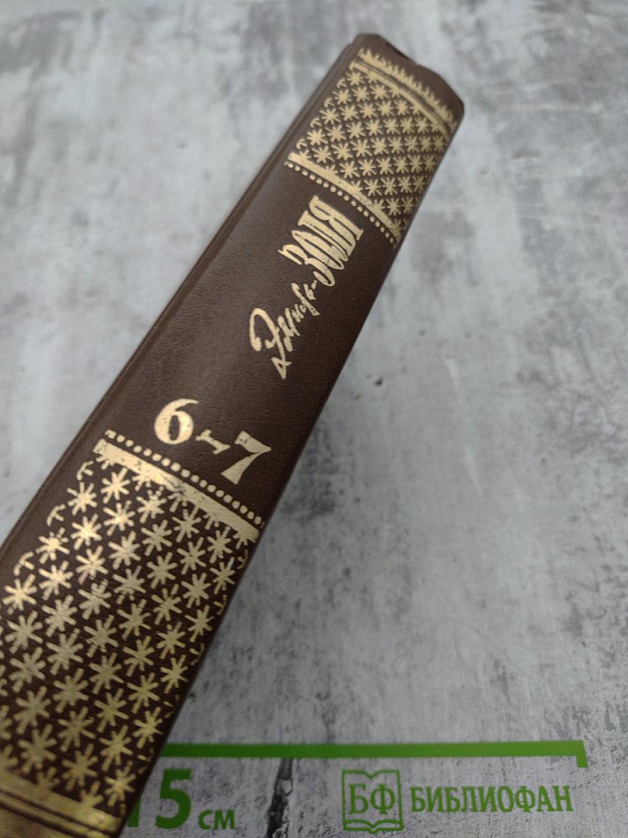 Собрание сочинений. Том шестой-седьмой: Западня, Страница любви