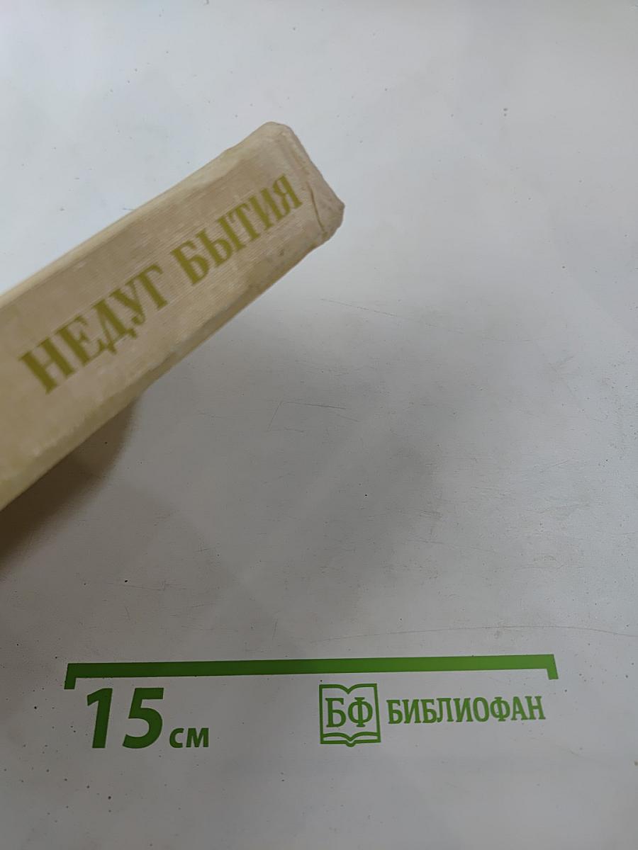 Недуг бытия