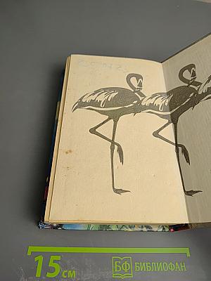 Окно во вчерашний день