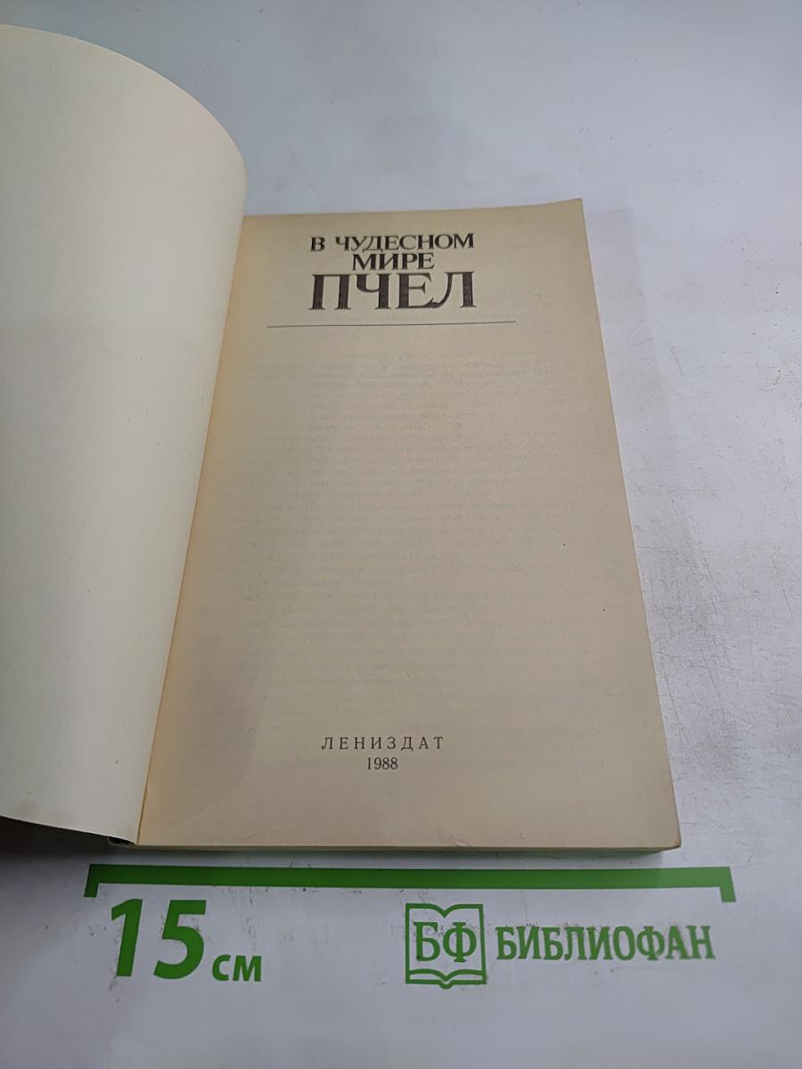 В Чудесном Мире Пчел