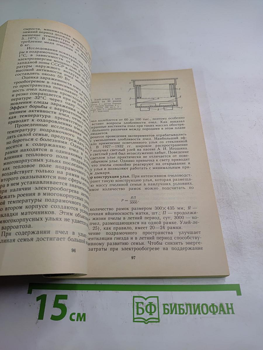 В Чудесном Мире Пчел