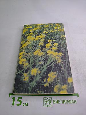 В Чудесном Мире Пчел