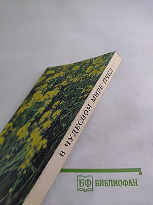 В Чудесном Мире Пчел