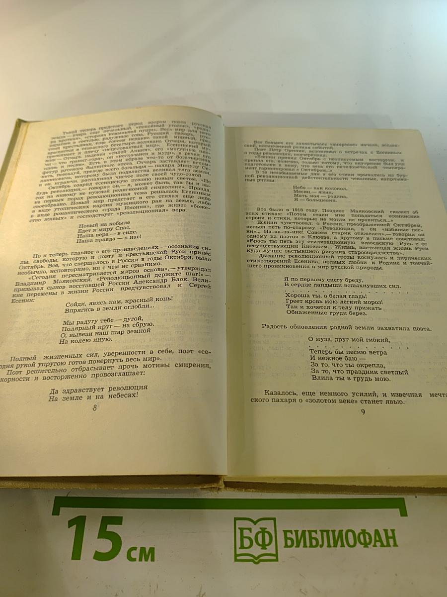 Сергей Есенин. Собрание сочинений в трех томах. Том 1
