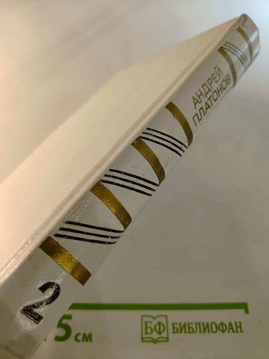 Собрание сочинений. Том второй: Повесть, рассказы, размышления читателя, статьи