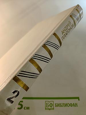 Собрание сочинений. Том второй: Повесть, рассказы, размышления читателя, статьи