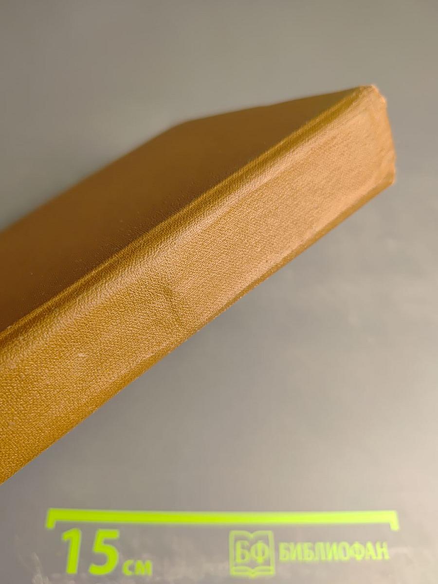 Катрин в замке Смерти