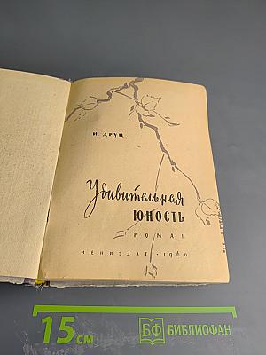 Удивительная юность