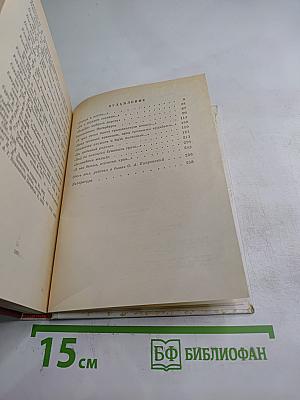 Орест Кипренский в Петербурге