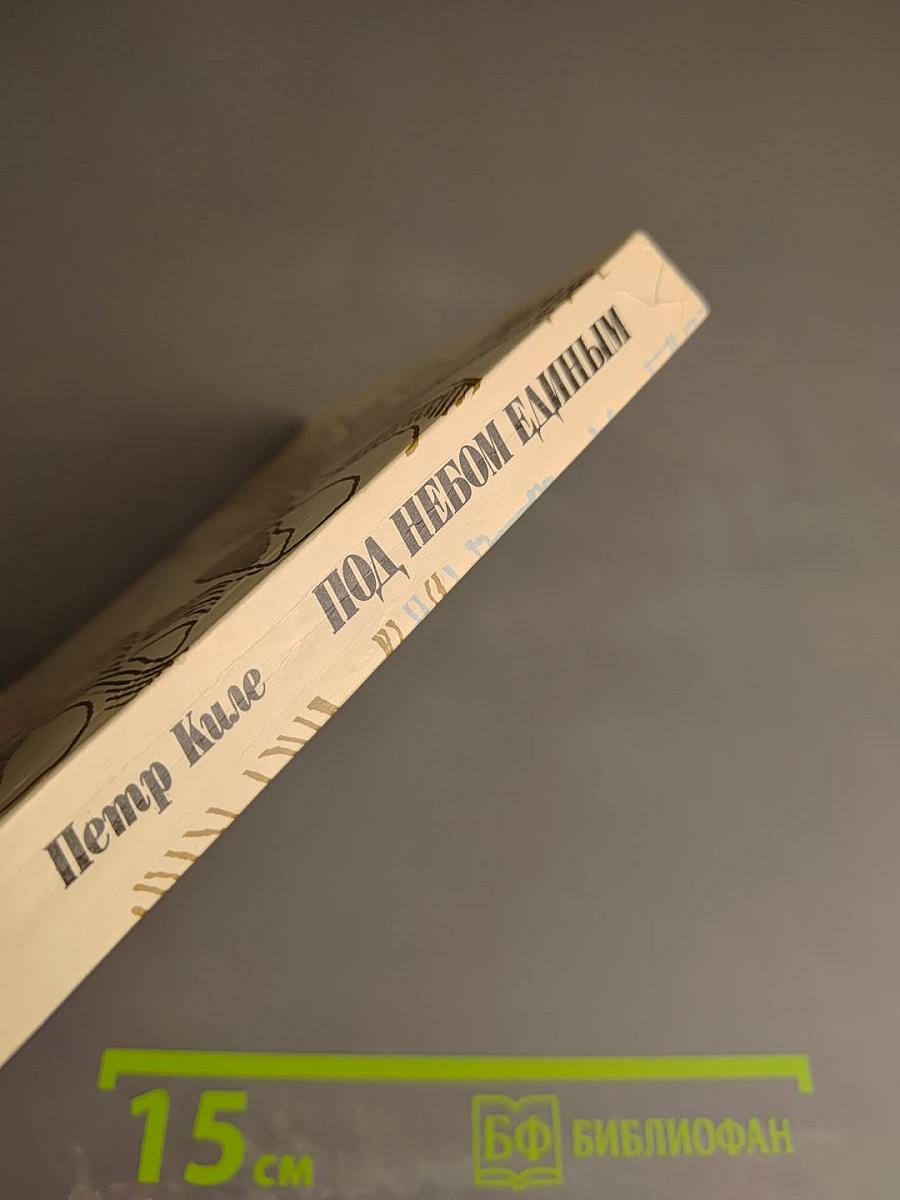 Под небом единым