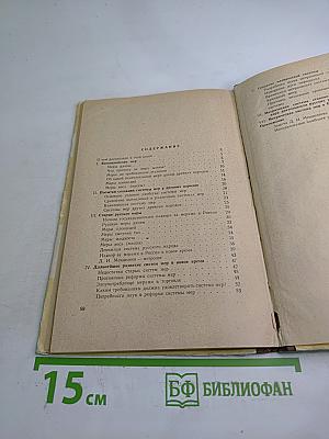 Меры и метрическая система