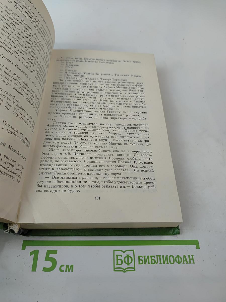 Лягушонок на асфальте