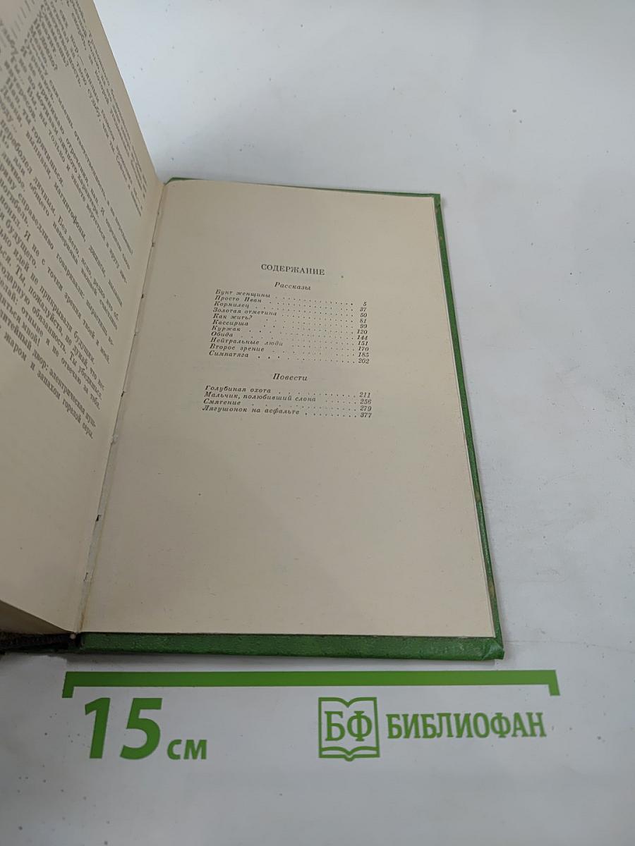 Лягушонок на асфальте