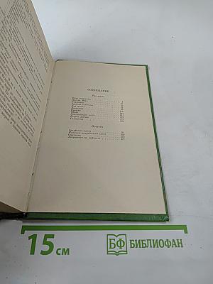 Лягушонок на асфальте