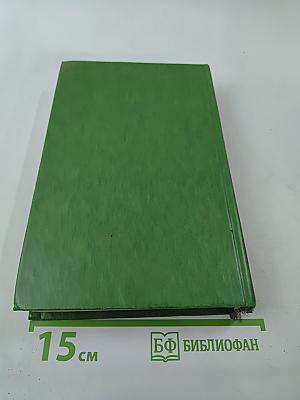 Лягушонок на асфальте