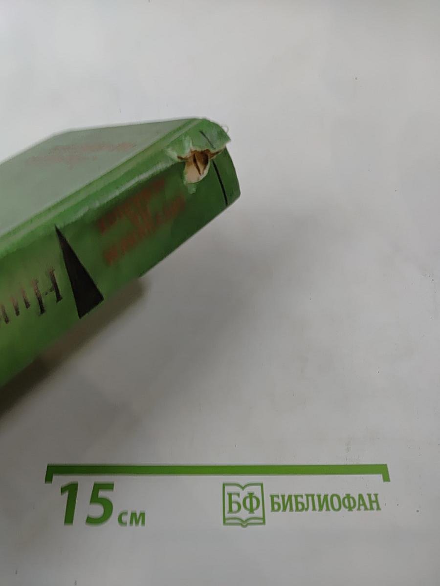 Лягушонок на асфальте