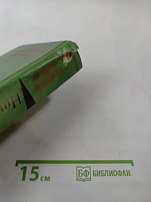 Лягушонок на асфальте