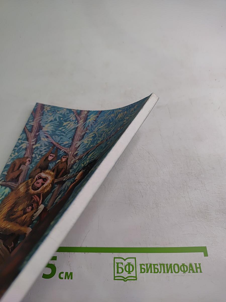 Приключения Тарзана в джунглях