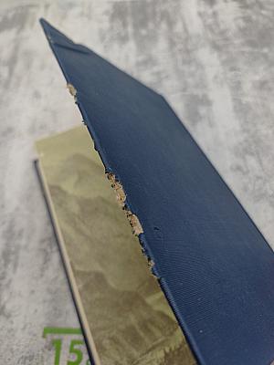 Сочинения. Том 2