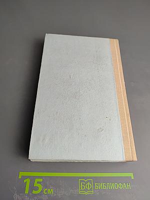 Свет всему свету