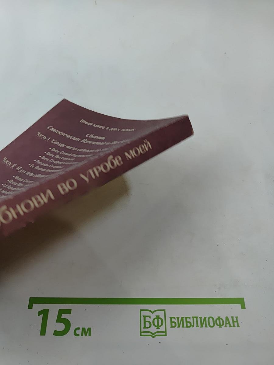 И дух прав обнови во утробе моей. Сборник Святоотеческих Изречений и Поучений. Часть II