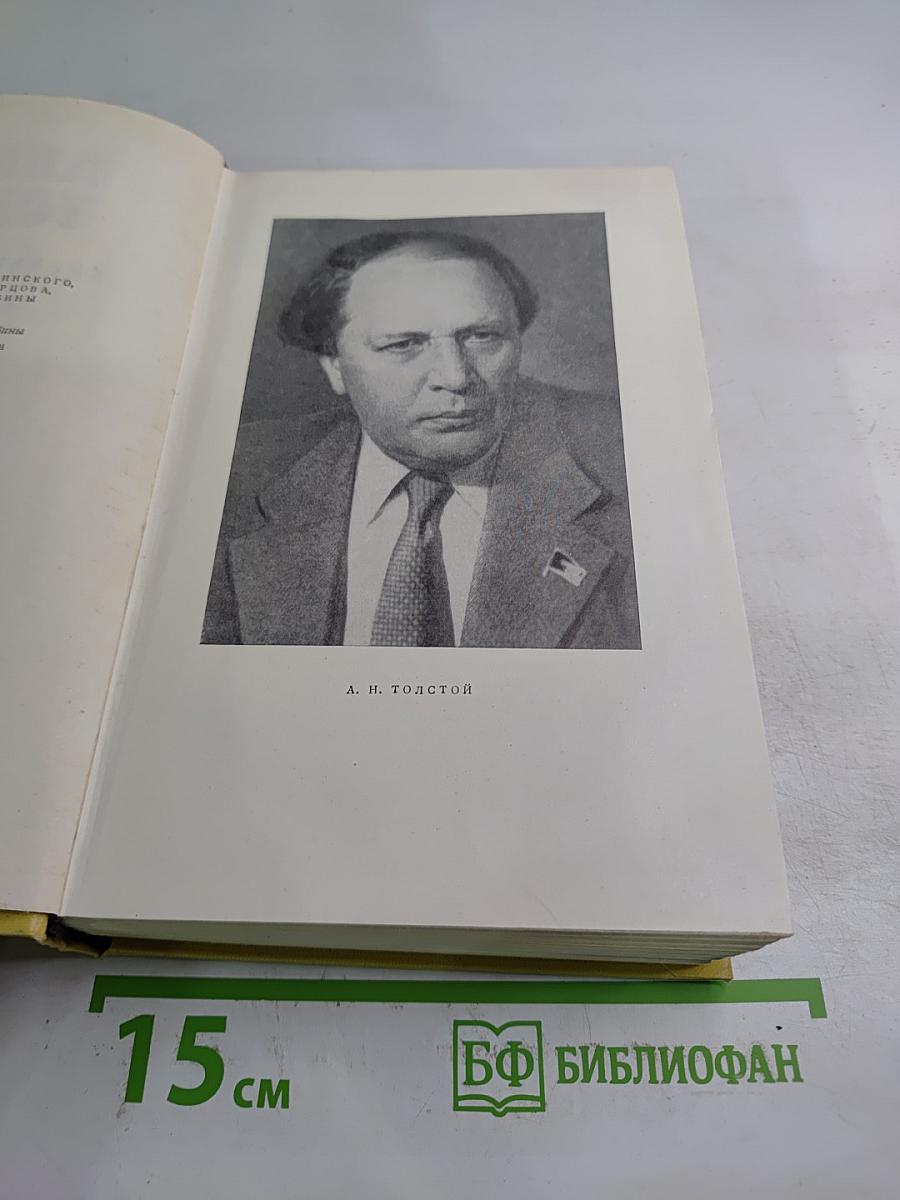 Собрание сочинений. Том первый. Повести и рассказы. Чудаки