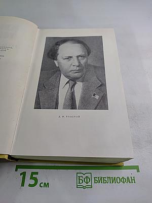 Собрание сочинений. Том первый. Повести и рассказы. Чудаки
