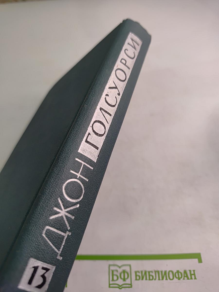 Собрание сочинений в шестнадцати томах. Том 13