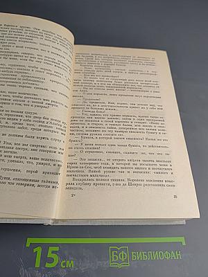 Виконт де Бражелон, или Десять лет спустя. Том III (Части 5, 6)