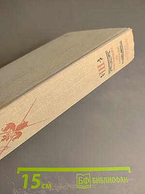 Виконт де Бражелон, или Десять лет спустя. Том III (Части 5, 6)