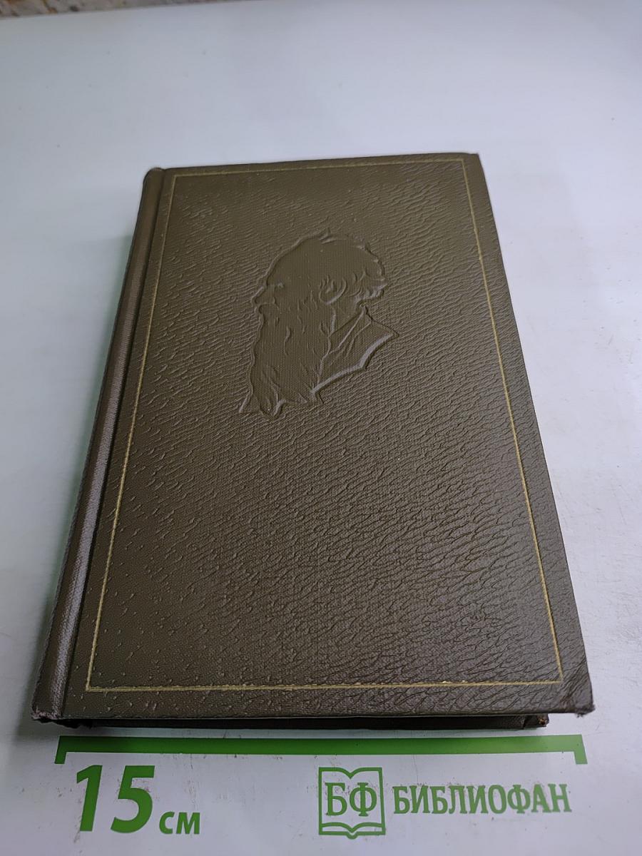 Собрание сочинений. Том семнадцатый: Письма 1843–1886 гг.