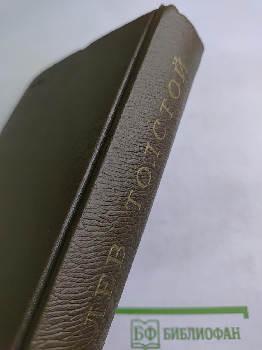 Собрание сочинений. Том семнадцатый: Письма 1843–1886 гг.