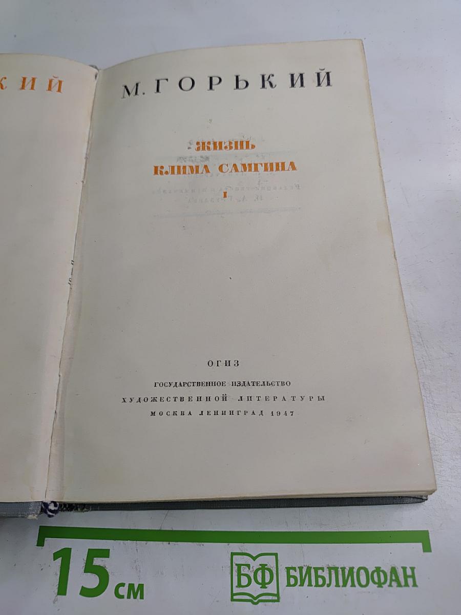 Жизнь Клима Самгина. Часть первая