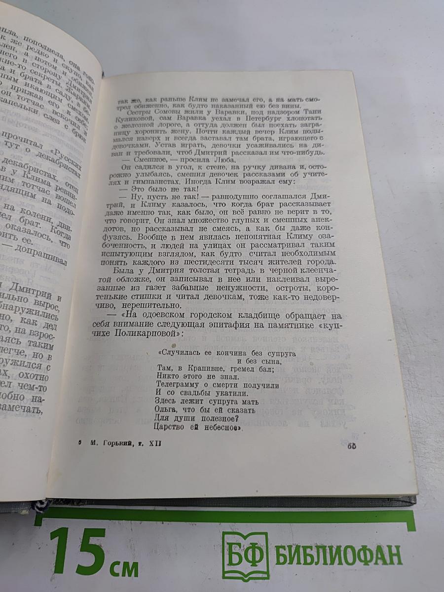 Жизнь Клима Самгина. Часть первая