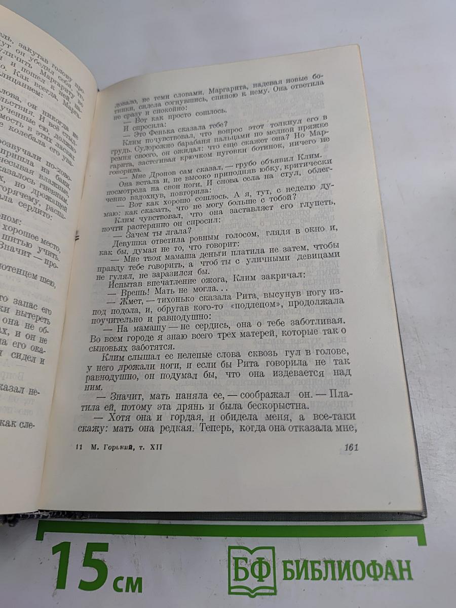 Жизнь Клима Самгина. Часть первая