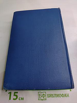 Избранные произведения. Том второй. Повесть о братьях Тургеневых. Черный консул