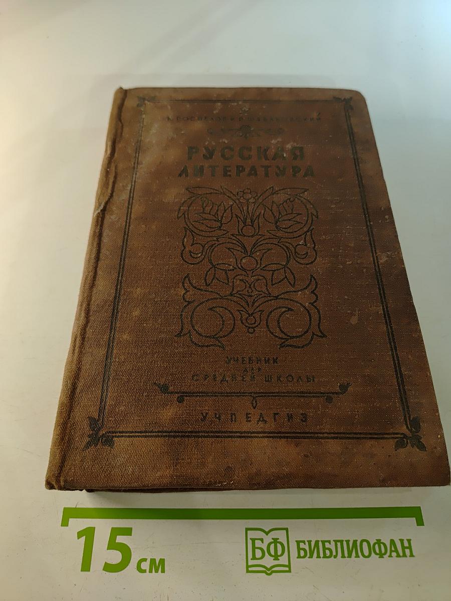 Русская литература. Учебник для VIII класса средней школы
