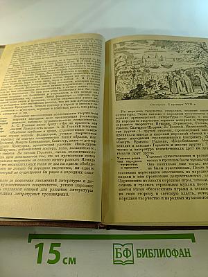 Русская литература. Учебник для VIII класса средней школы