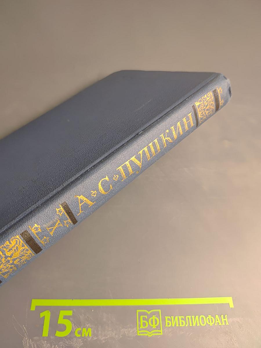 Письма 1831-1837 (Собрание сочинений в десяти томах. Том X)