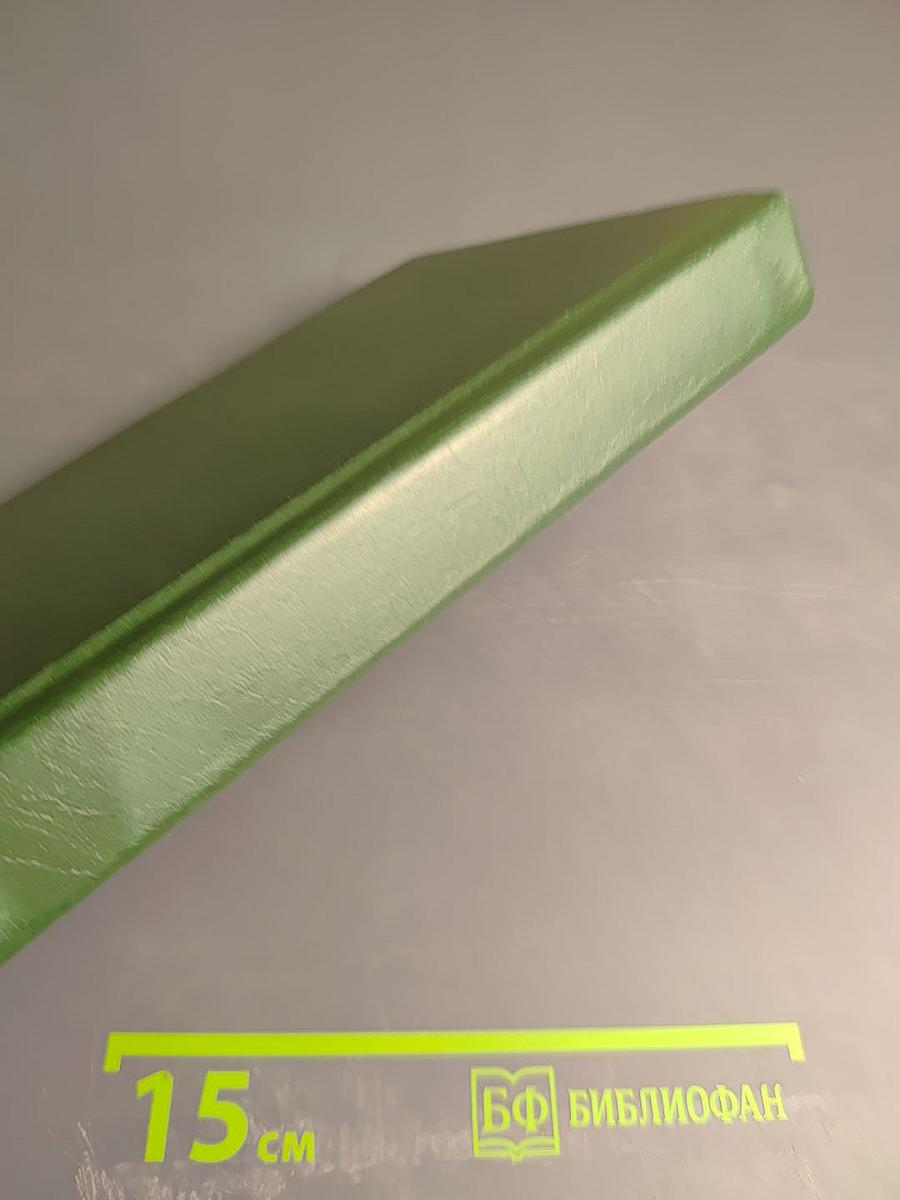 Первый человек в Риме. Том II