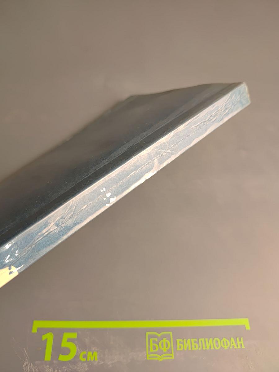 Фицрой - капитан 'Бигля'