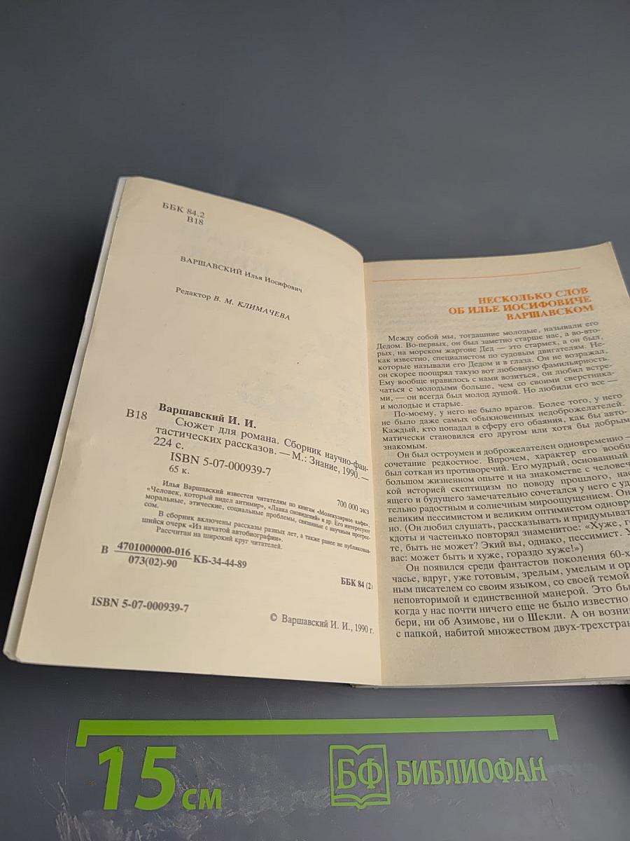 Сюжет для романа