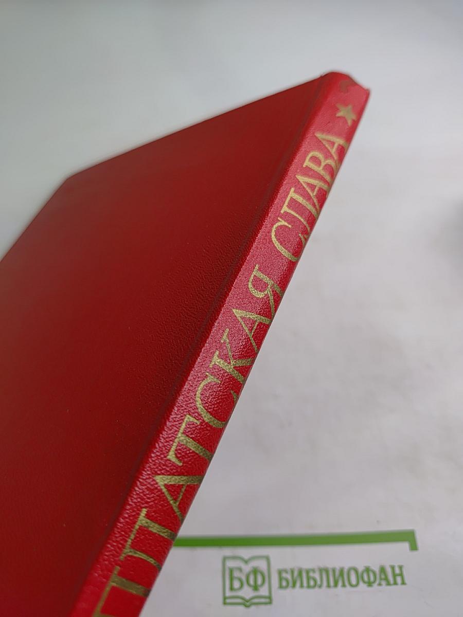 Солдатская Слава. Книга пятая