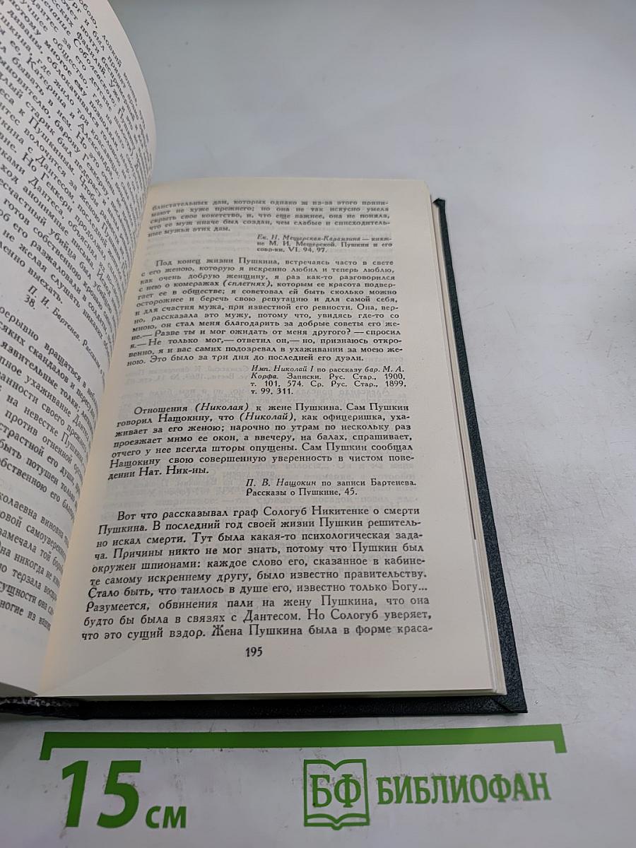 Пушкин в жизни. Гоголь в жизни