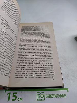 Д'Артаньян - гвардеец кардинала. Провинциал, о котором заговорил Париж. Роман-Эхо. Том I
