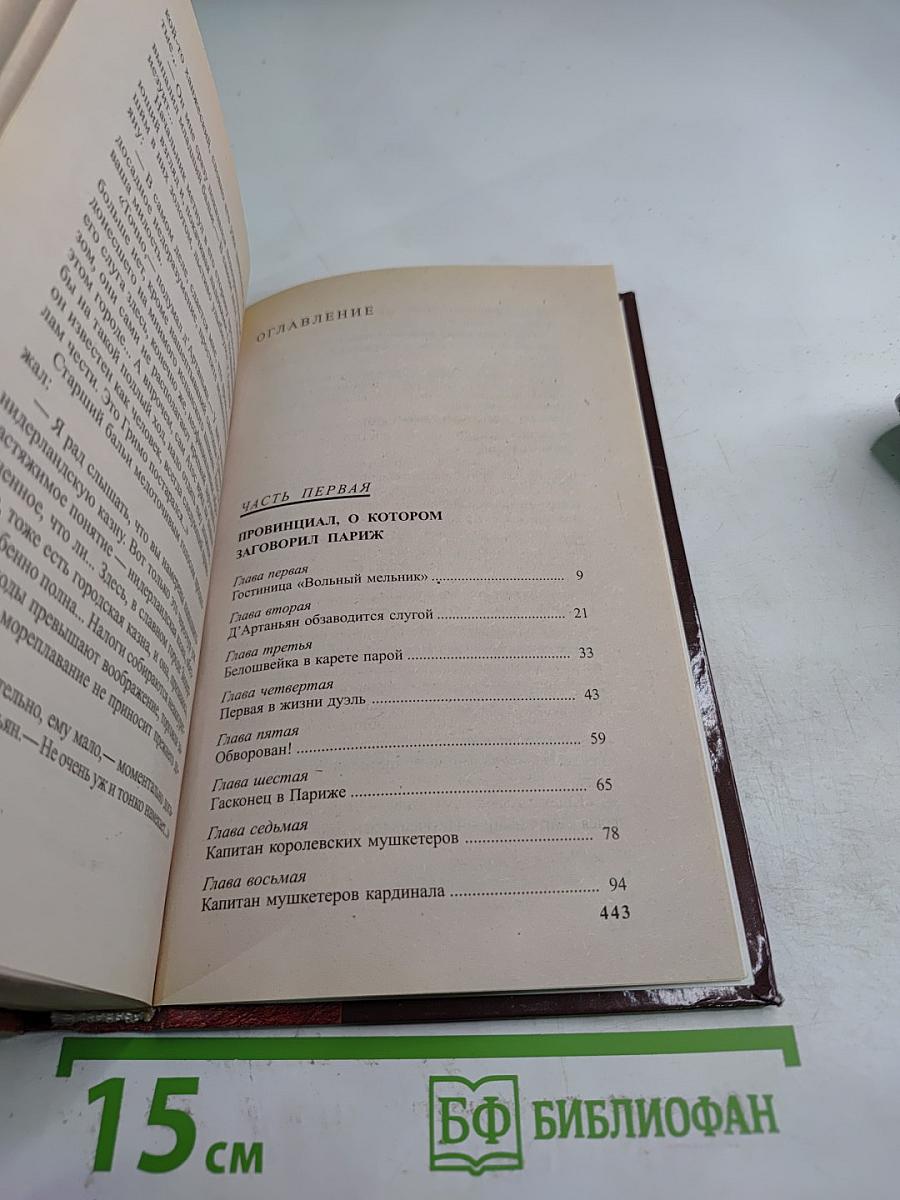 Д'Артаньян - гвардеец кардинала. Провинциал, о котором заговорил Париж. Роман-Эхо. Том I